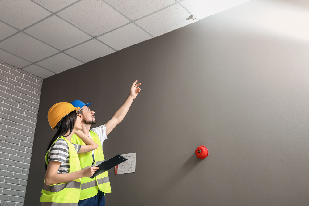 Renovlies voorbereiden in Middelburg voor een goede ondergrond en hechting van het behang.