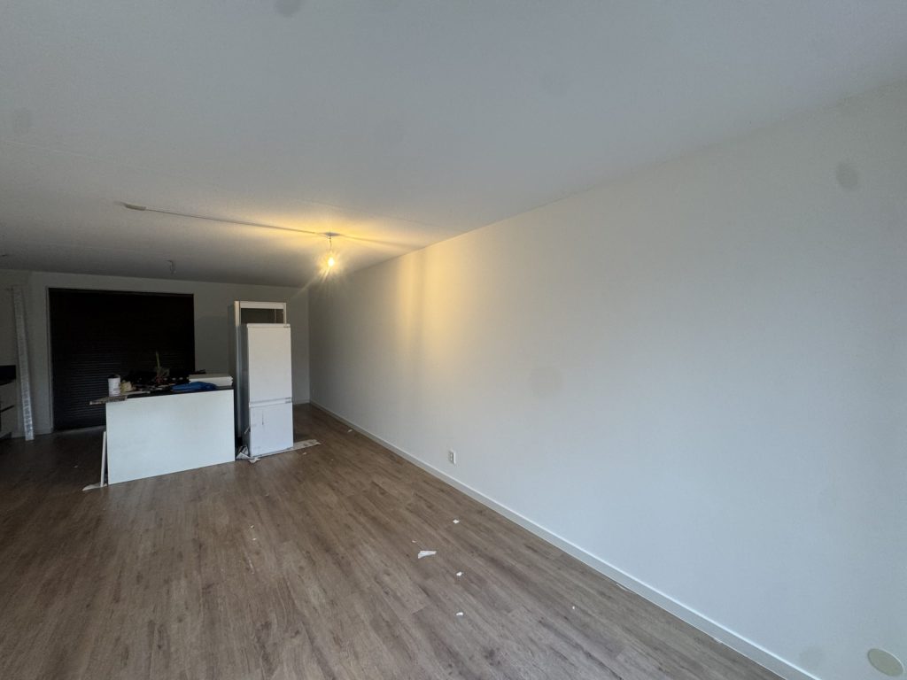 Lange woonkamer in een nieuw appartement met laminaat, een gladde witte wand en een keukenblok achterin